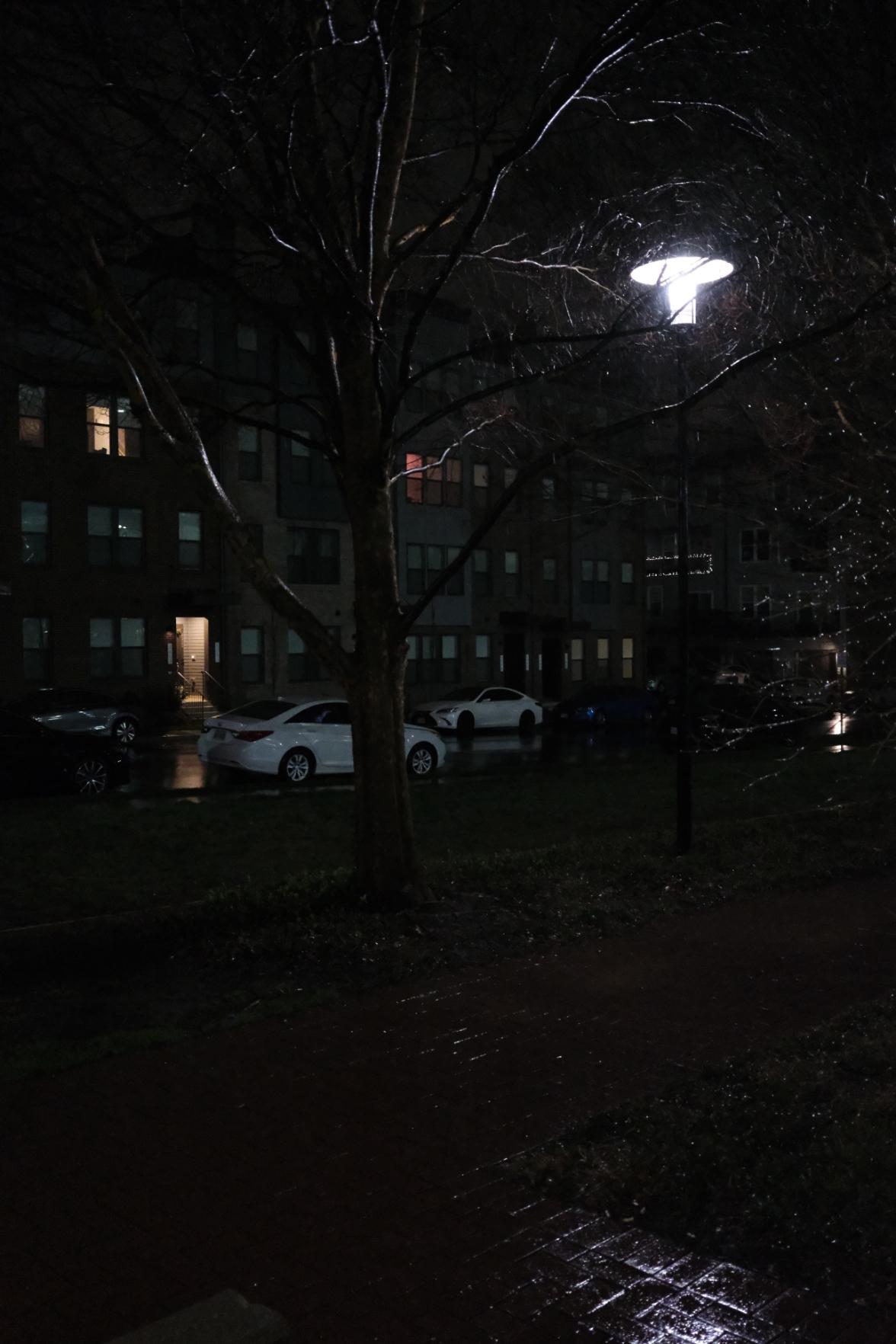 Focused on a tree illuminated by a lamp post. All a bit wet and shiny from a recent rain storm.